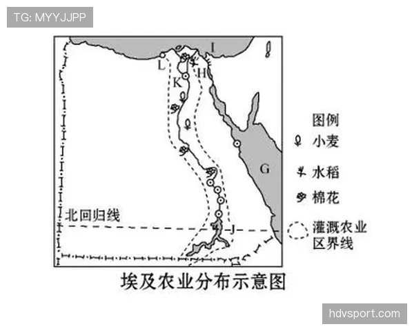 埃及争夺G组前两名机会分析 埃及争夺G组前两名机会分析